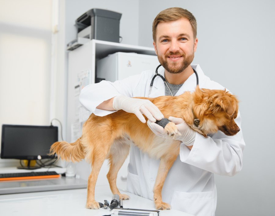 Dr. Marcus Rodriguez