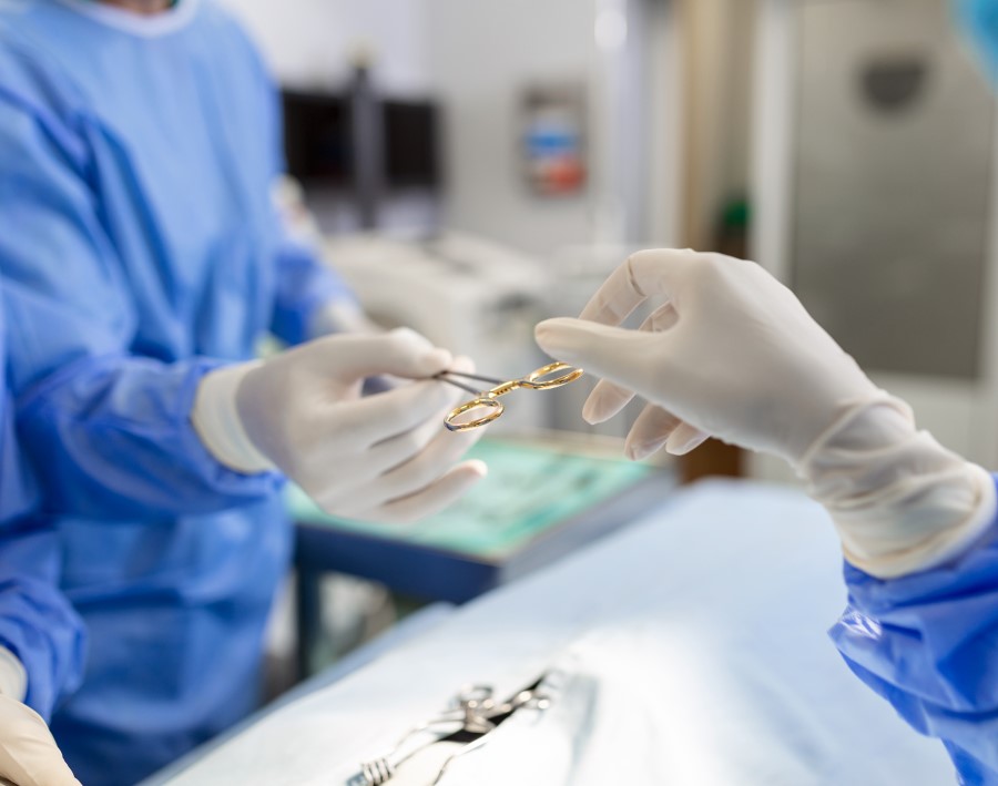 Surgical Procedure: Spaying (Ovariohysterectomy)